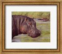 Framed Hippo