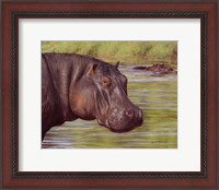 Framed Hippo