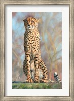 Framed Cheetah