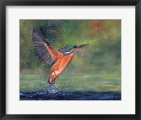 Framed Kingfisher