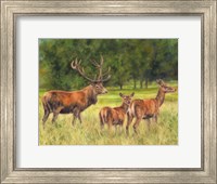 Framed Deer Family