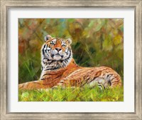 Framed Tiger Study 12
