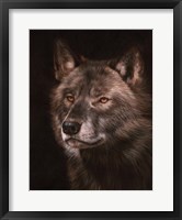 Framed Black Wolf