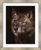 Framed Black Wolf