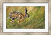Framed Hare Running