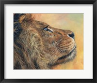 Framed Lion Profile