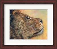 Framed Lion Profile