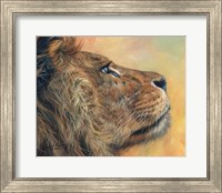 Framed Lion Profile