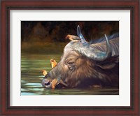 Framed Buffalo And Oxpeckers