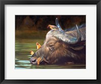 Framed Buffalo And Oxpeckers