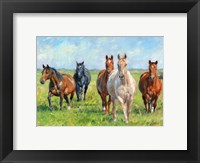 Framed Wild Horses