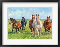 Framed Wild Horses