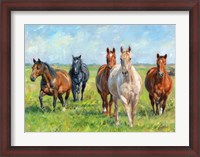 Framed Wild Horses