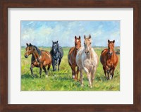 Framed Wild Horses