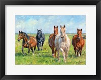 Framed Wild Horses