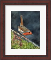 Framed Millie The Robin