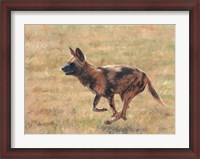 Framed African Wild Dog Running
