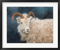 Framed Mountain Goat 2