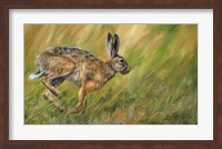 Framed Wild Hare Running