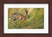 Framed Wild Hare Running