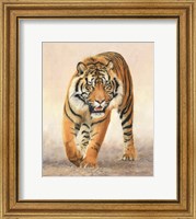 Framed Tiger16
