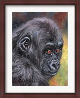 Framed Baby Gorilla86