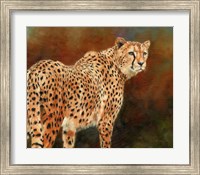 Framed Cheetah10