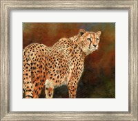 Framed Cheetah10