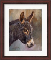 Framed Donkey