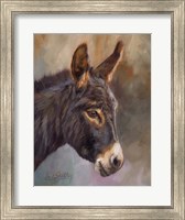 Framed Donkey