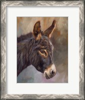 Framed Donkey