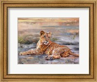 Framed Lion Cub Resting