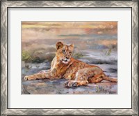 Framed Lion Cub Resting