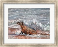 Framed Sealion