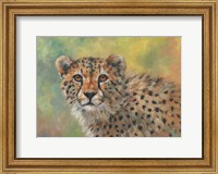 Framed Cheetah Portrait