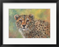 Framed Cheetah Portrait