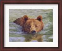 Framed Brown Bear In Water
