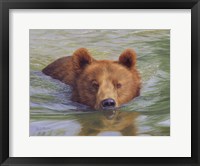 Framed Brown Bear In Water