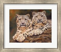 Framed Snow Leopards