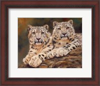 Framed Snow Leopards