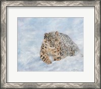 Framed Snow Leopard Final