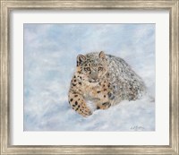 Framed Snow Leopard Final