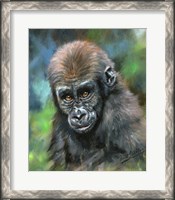 Framed Baby Mountain Gorilla