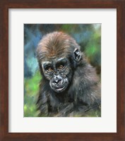 Framed Baby Mountain Gorilla