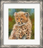 Framed Cheetah Cub 3