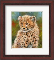 Framed Cheetah Cub 3