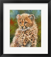 Framed Cheetah Cub 3