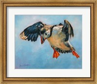 Framed Puffin