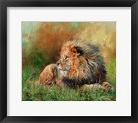 Framed Lion Full Of Grace