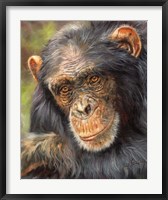 Framed Chimp The Thinker